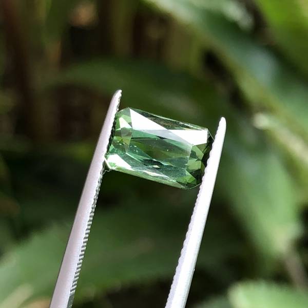 2.98克拉無燒無處理剛果綠色碧璽 山姆大叔寶石屋,碧璽,電氣石,寶石,珠寶,Sam'sGemStudio,Tourmaline,Gemstone,Gem,Jewelry