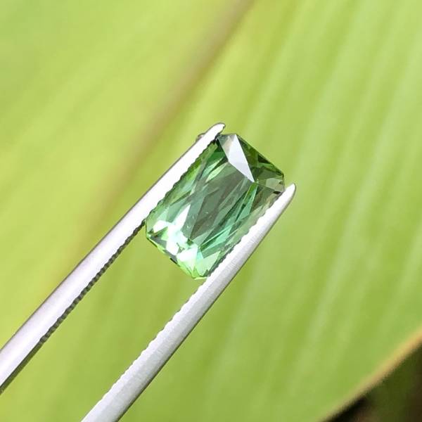 2.98克拉無燒無處理剛果綠色碧璽 山姆大叔寶石屋,碧璽,電氣石,寶石,珠寶,Sam'sGemStudio,Tourmaline,Gemstone,Gem,Jewelry