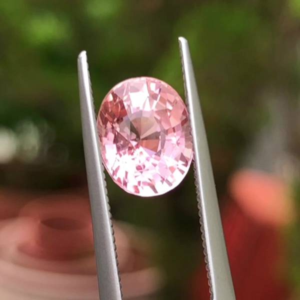 2.68克拉無燒無處理剛果粉紅色碧璽 山姆大叔寶石屋,碧璽,電氣石,寶石,珠寶,Sam'sGemStudio,Tourmaline,Gemstone,Gem,Jewelry