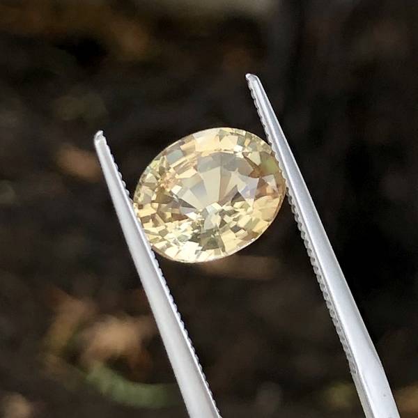 2.84克拉無燒無處理剛果黃色碧璽 山姆大叔寶石屋,碧璽,電氣石,寶石,珠寶,Sam'sGemStudio,Tourmaline,Gemstone,Gem,Jewelry