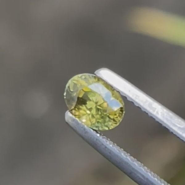 1.12克拉斯里蘭卡黃綠色藍寶石(H) 