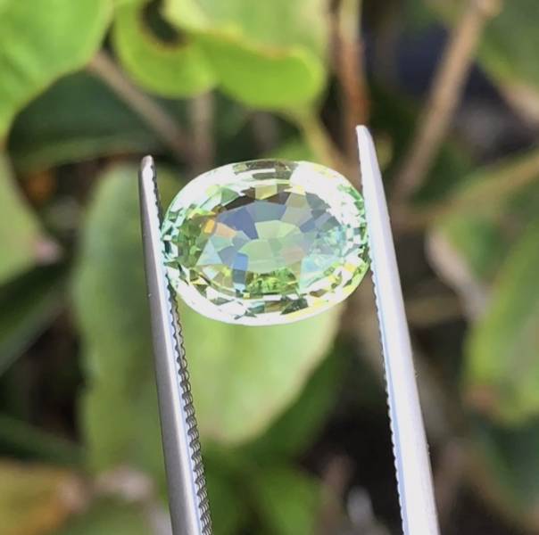 3.51克拉無燒無處理剛果蘋果綠色碧璽 山姆大叔寶石屋,碧璽,電氣石,寶石,珠寶,Sam'sGemStudio,Tourmaline,Gemstone,Gem,Jewelry