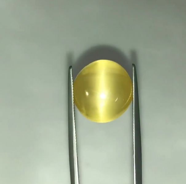 12.99克拉無處理黃色磷灰石 山姆大叔寶石屋,磷灰石,寶石,珠寶,Sam'sGemStudio,Chrysoberyl ,Chrysoberyl Cat's Eye,Gemstone,Gem,Jewelry