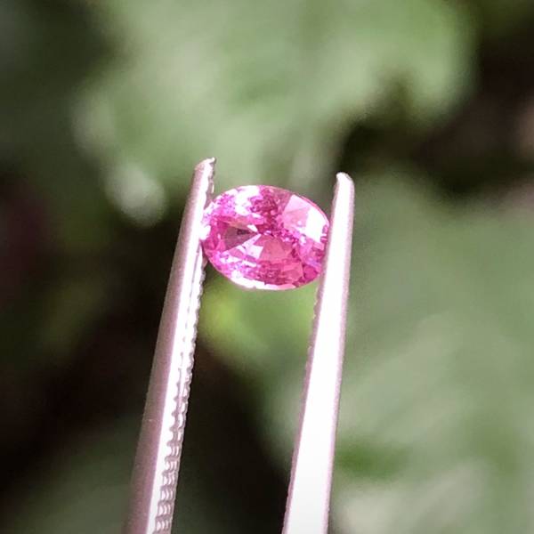 0.57克拉無燒無處理斯里蘭卡艷粉紅色藍寶石 山姆大叔寶石屋,藍寶石,寶石,珠寶,Sam'sGemStudio,Sapphire,Gemstone,Gem,Jewelry