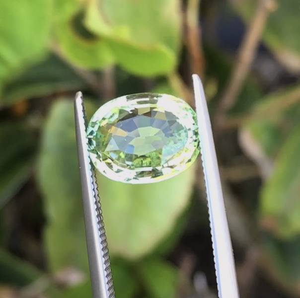 3.51克拉無燒無處理剛果蘋果綠色碧璽 山姆大叔寶石屋,碧璽,電氣石,寶石,珠寶,Sam'sGemStudio,Tourmaline,Gemstone,Gem,Jewelry