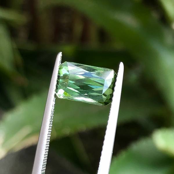 2.98克拉無燒無處理剛果綠色碧璽 山姆大叔寶石屋,碧璽,電氣石,寶石,珠寶,Sam'sGemStudio,Tourmaline,Gemstone,Gem,Jewelry