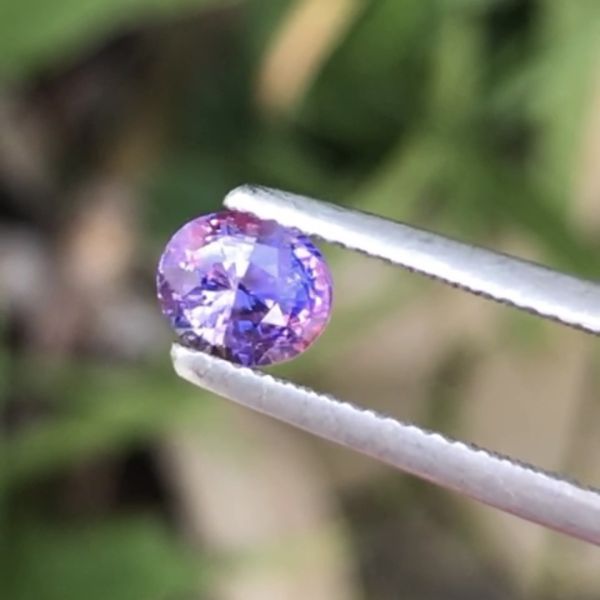 1.35克拉無燒無處理斯里蘭卡艷彩薰衣草色藍寶石 山姆大叔寶石屋,藍寶石,寶石,珠寶,Sam'sGemStudio,Sapphire,Gemstone,Gem,Jewelry