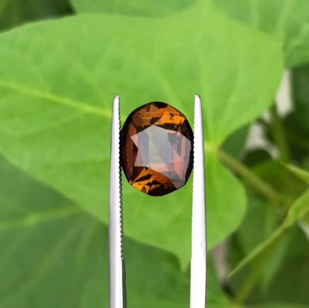 5.00克拉無燒無處理剛果棕綠色碧璽 山姆大叔寶石屋,碧璽,電氣石,寶石,珠寶,Sam'sGemStudio,Tourmaline,Gemstone,Gem,Jewelry