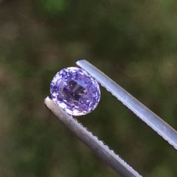 1.40克拉無燒無處理斯里蘭卡艷彩薰衣草色藍寶石 山姆大叔寶石屋,藍寶石,寶石,珠寶,Sam'sGemStudio,Sapphire,Gemstone,Gem,Jewelry