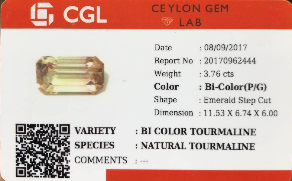 3.76克拉無燒無處理非洲雙色碧璽 Sam'sGemStudio,Tourmaline,Gemstone,Gem,Jewelry