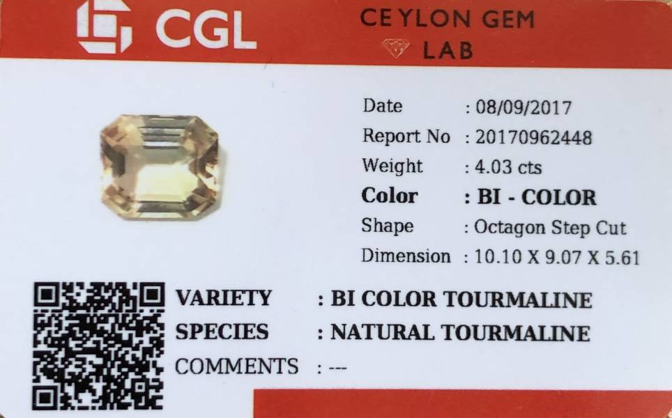 4.03克拉無燒無處理非洲雙色碧璽 Sam'sGemStudio,Tourmaline,Gemstone,Gem,Jewelry