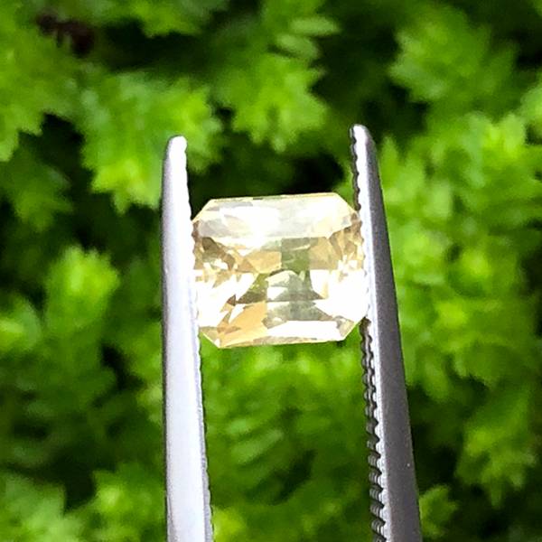 1.52克拉無燒無處理斯里蘭卡艷黃色藍寶石 山姆大叔寶石屋,藍寶石,寶石,珠寶,Sam'sGemStudio,Sapphire,Gemstone,Gem,Jewelry