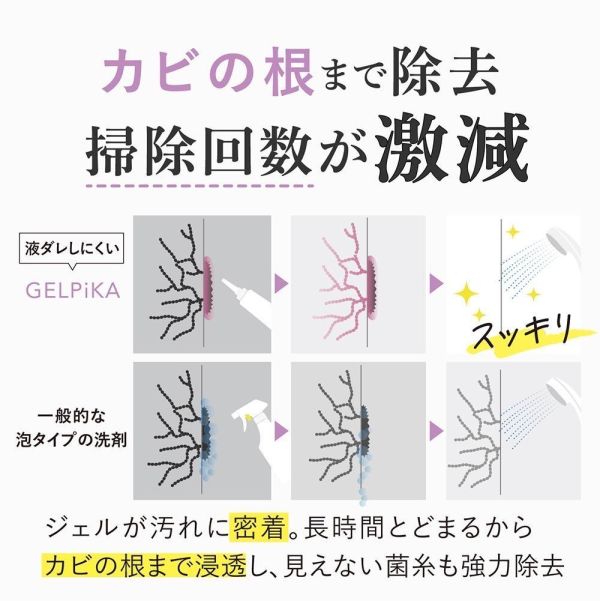 日本 Alphax GEL PiKA 強效除霉凝膠 