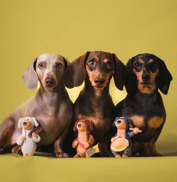 peishopp【整盤】泰國benkoff cafe 臘腸狗盲盒 