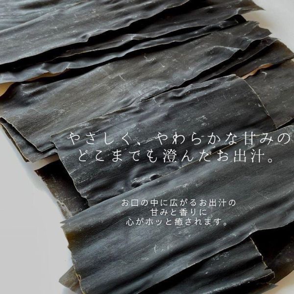 北海道 昆布の老舖 奧井海生堂 100g 大包裝 