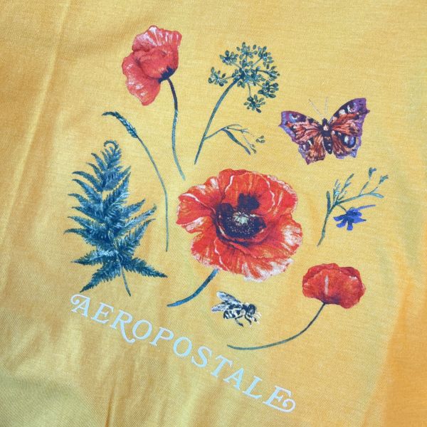 Aero橘黃花草蝴蝶T 