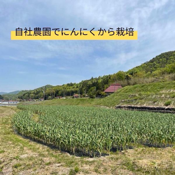 冬季限定日本瀨戶內產黑蒜醬 