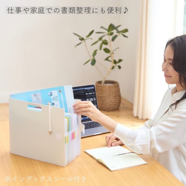 日本 SAKURA多功能收納整理夾 