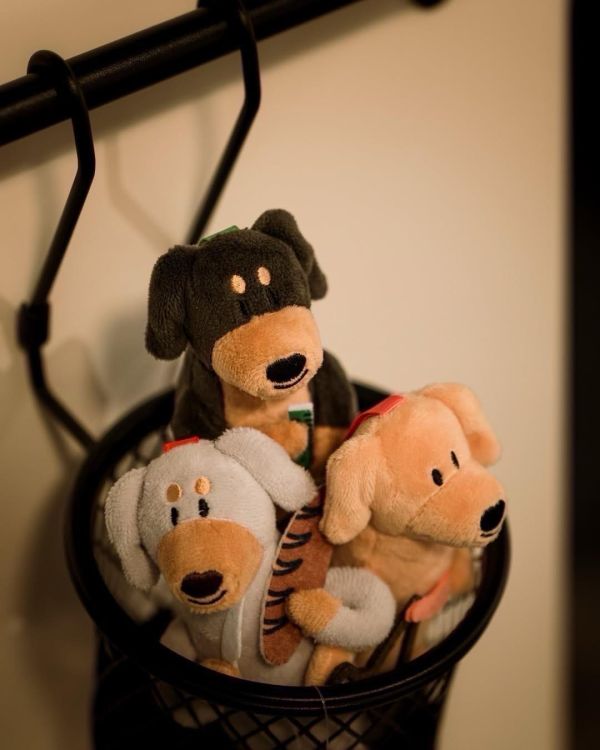 peishopp【單盒】泰國benkoff cafe 臘腸狗盲盒 