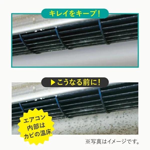 日本 Alphax BIO冷氣專用-防霉除味劑 