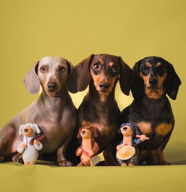 【整盤】泰國benkoff cafe 臘腸狗盲盒 