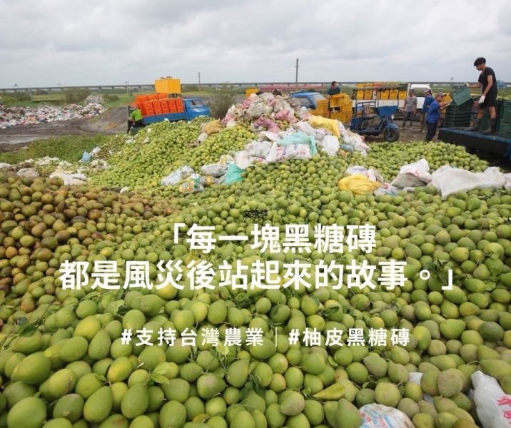 PIM 文旦柚皮黑糖磚 