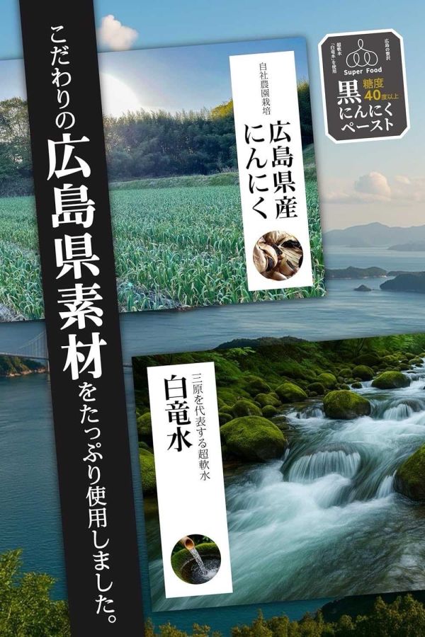 冬季限定日本瀨戶內產黑蒜醬 