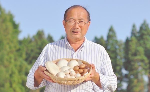 日本山形縣奶油蘑菇濃湯 