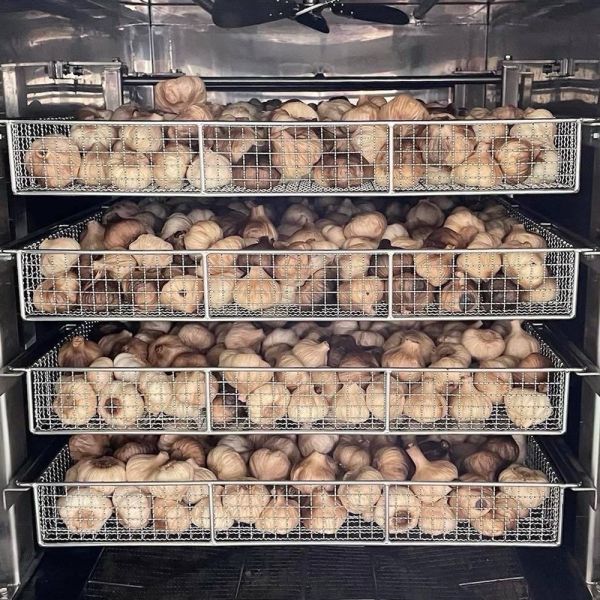 冬季限定日本瀨戶內產黑蒜醬 