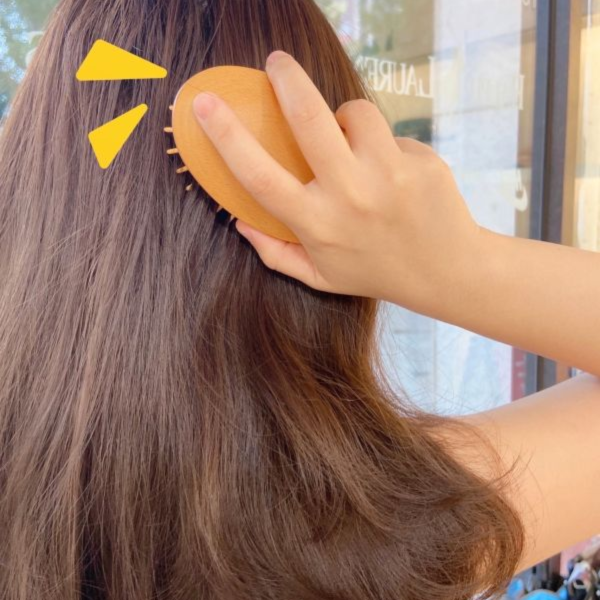 Natulique 原木梳 