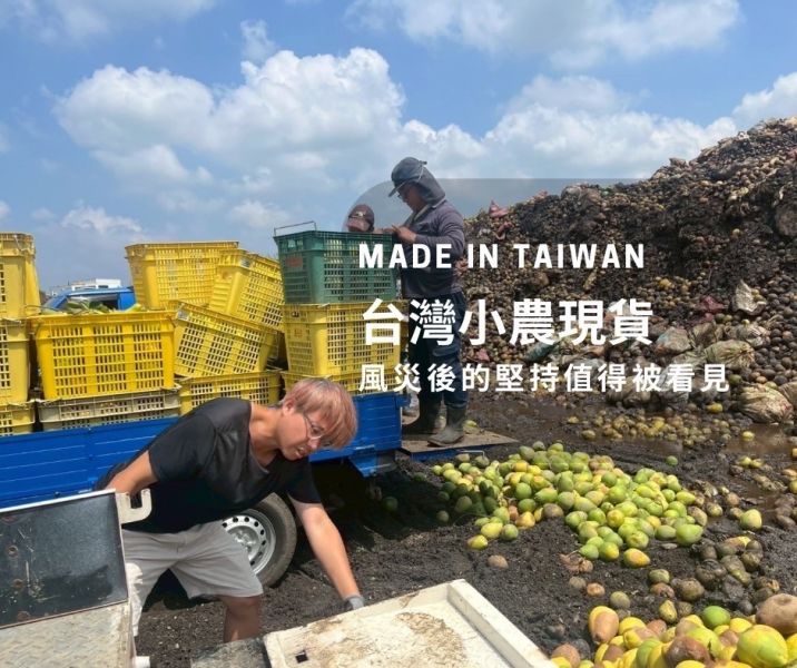 PIM 文旦柚皮黑糖磚 