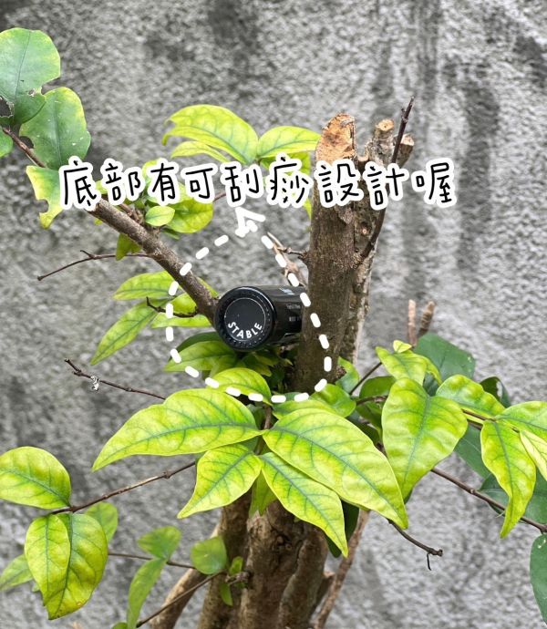 [福利品] Sukonta 天然草本芳香滾珠瓶 