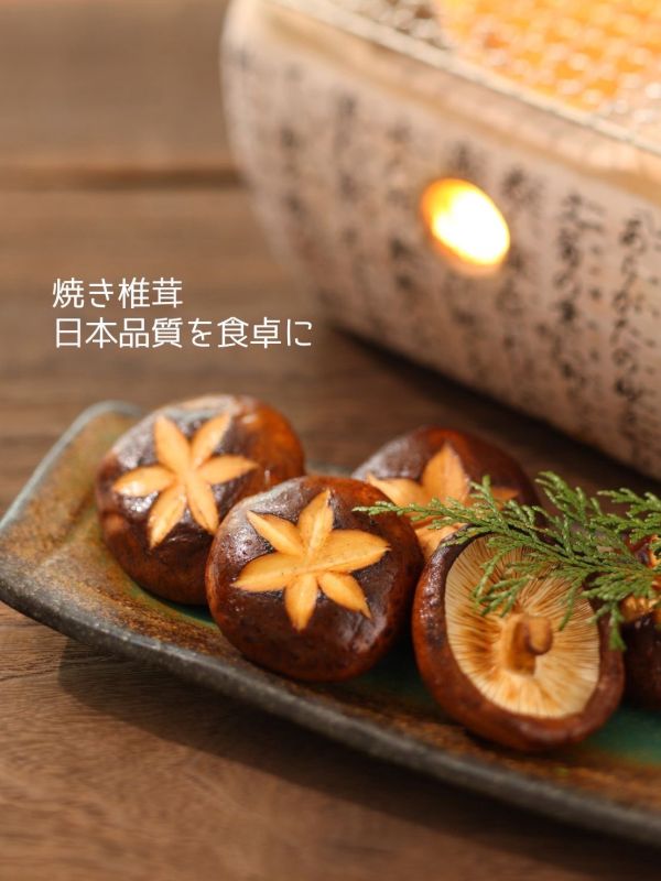 北海道原木栽培 乾香菇 