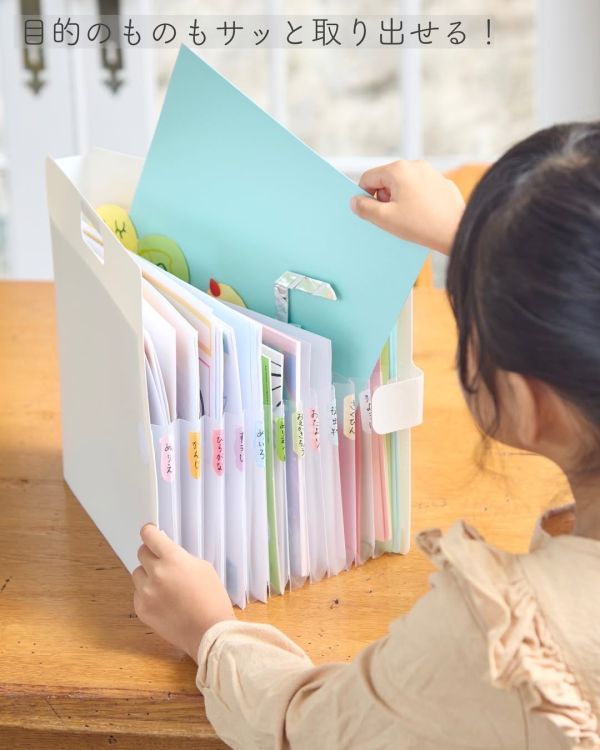 日本 SAKURA多功能收納整理夾 