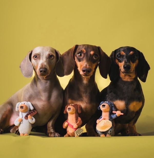 peishopp【單盒】泰國benkoff cafe 臘腸狗盲盒 