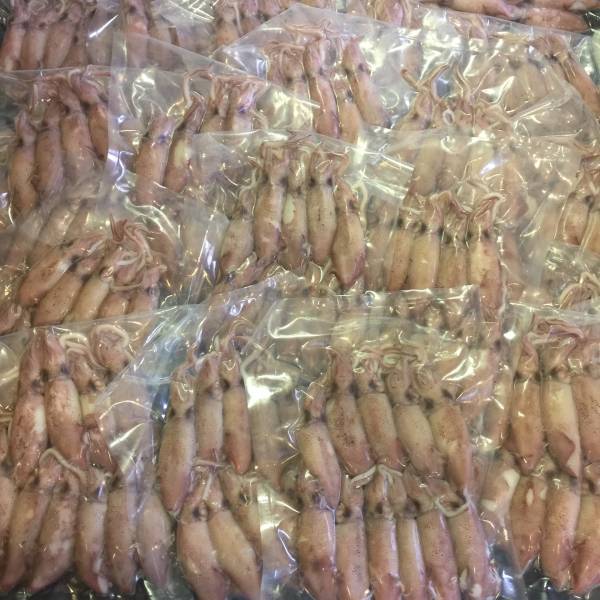 鮮凍熟小卷12-14尾(大隻) 