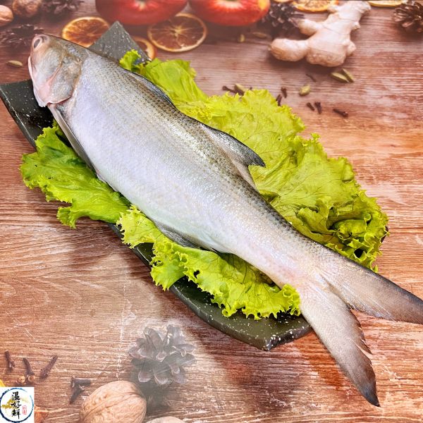 (現流)野生午仔魚 