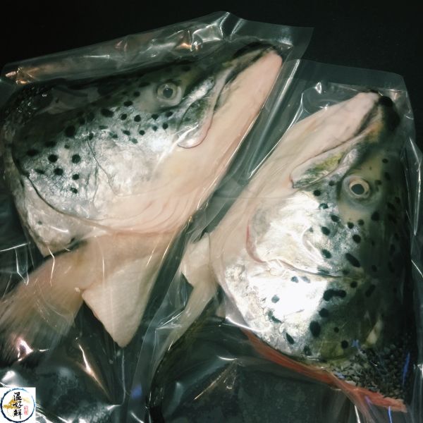 整尾鮭魚12斤~12斤半(隻) 生魚片,去鱗留皮,生食等級,挪威,油脂,香煎,燒烤,奶油,生鮮,實拍,現貨