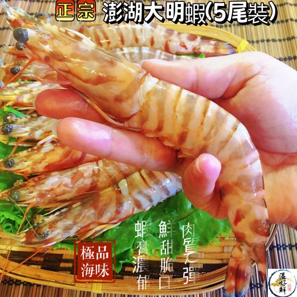 正宗澎湖大明蝦(5尾裝) 大明蝦,明蝦沙拉,大尾蝦,吮指回味,年菜,宴客,生鮮,實拍,現貨,温好鮮