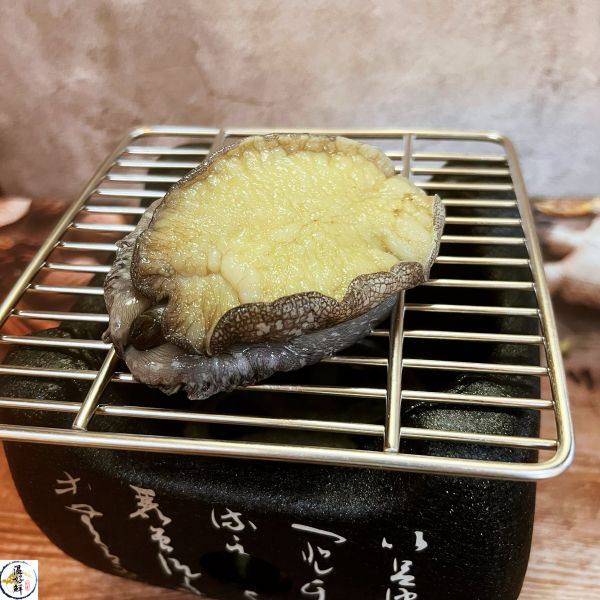 極品南非帶殼活鮑魚(2粒) 活鮑魚,東北角,產地直送,空運來台,鮑魚粥,鮑魚燕窩,鮑魚火鍋,乾煎鮑魚,清蒸活鮑,生鮮,實拍,現貨,温好鮮