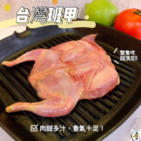 台灣班甲(大隻) 烤班甲,班鳩,台灣春雞,中秋節,山產,熱炒店,生鮮 ,實拍,現貨,海鮮