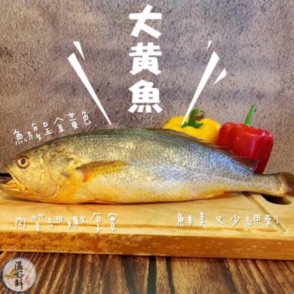 (現流)大黃魚 糖醋,酥炸,大隻,黃花魚,温好鮮,圍爐,除夕夜,團圓飯