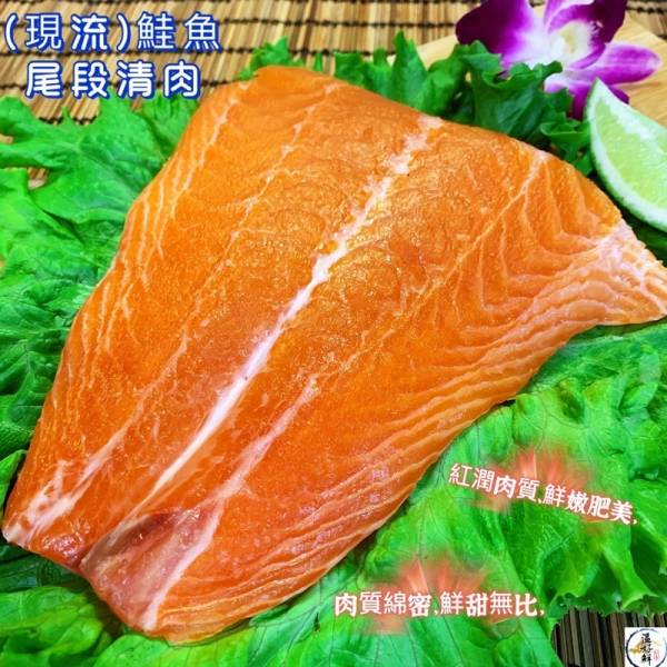 (現流)鮭魚尾段清肉 鮭魚,尾巴,油脂豐富,奶油,乾煎,燒烤,生鮮,實拍 ,現貨