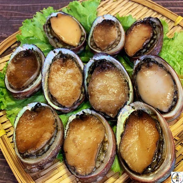 頂級鮮活九孔(大顆） 五味醬,宴席,燉雞湯,冬天,養生