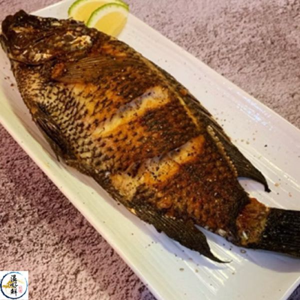 (活)海黑公魚(鹹水吳郭魚/海吳郭) 鹽烤,鹹水,海吳郭,黑公,活海魚,實拍,現貨,海鮮