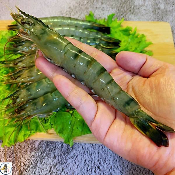 鮮凍甘甜大草蝦-8尾 川燙,酥炸,鮮甜,大隻,Q彈