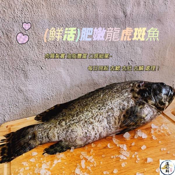 (鮮活)肥嫩龍虎斑魚 辦桌,清蒸,蔥油,現殺,膠質