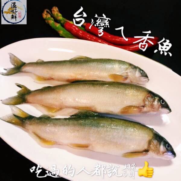台灣香魚(公)7~8尾 燒烤,香魚,國產,實拍,生鮮,現貨,海鮮