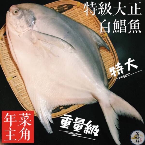 特級大尾正白鯧魚 白鯧魚,正白鯧,重量級,實拍,年菜,過年,生鮮,現貨,熱賣,圍爐,年年有餘,温好鮮