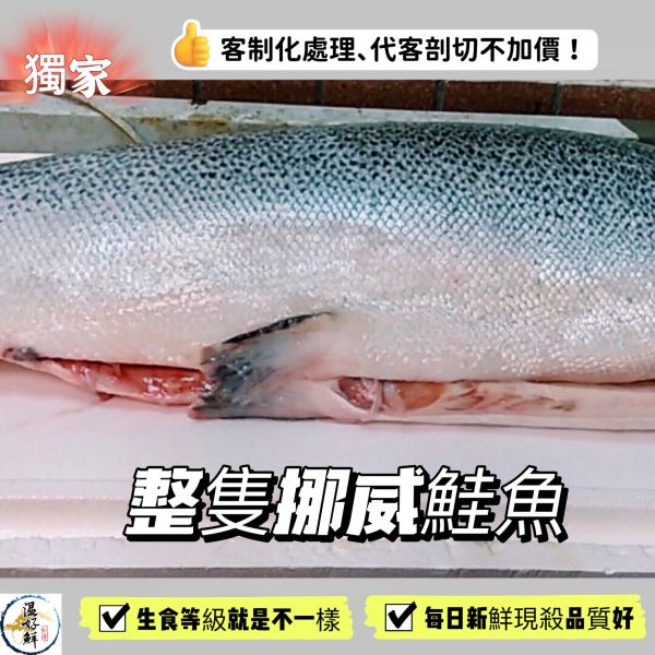 整尾鮭魚12斤~12斤半(隻) 生魚片,去鱗留皮,生食等級,挪威,油脂,香煎,燒烤,奶油,生鮮,實拍,現貨